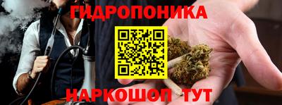 гашик Лесосибирск