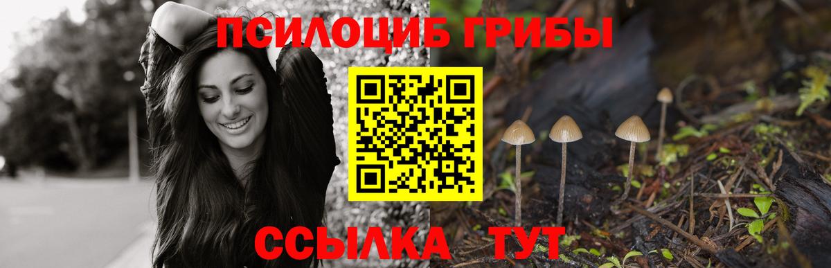 Псилоцибиновые грибы Psilocybine cubensis  Вход с VPN  Галлюциногенные грибы MAGIC MUSHROOMS  Волжск 
